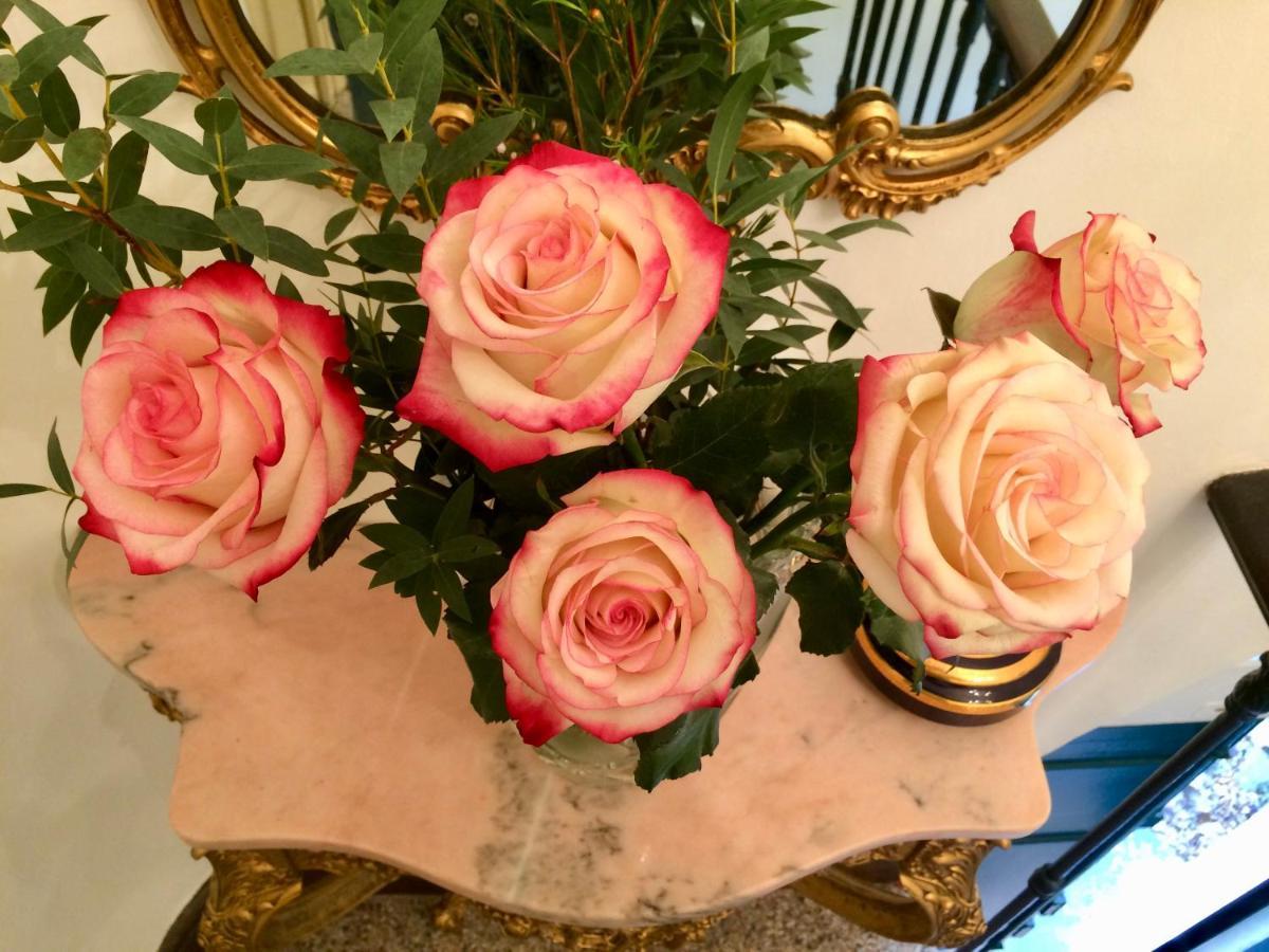 Rosa *