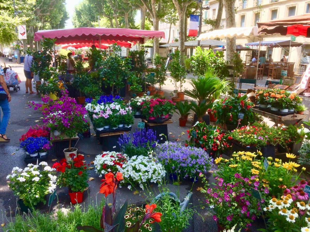 Rosa Beziers