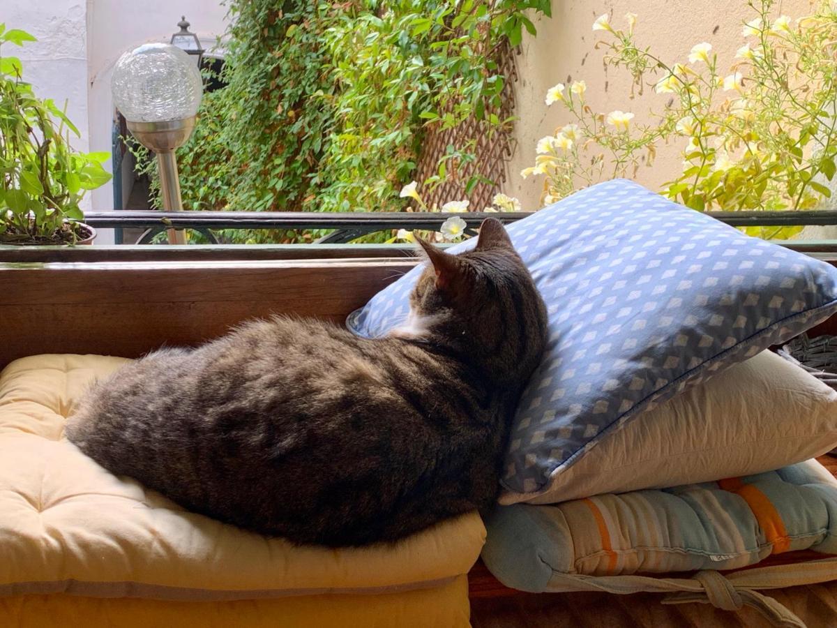 Bed & Breakfast Rosa *