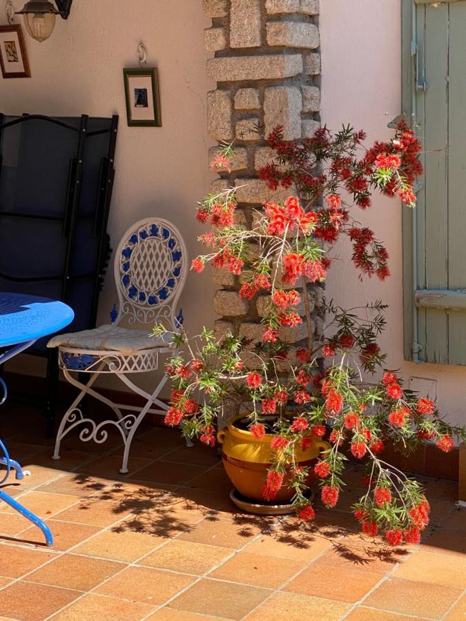 Rosa Frühstückspension Béziers